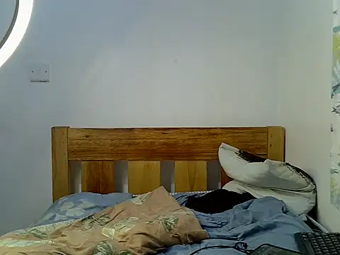 Holyshan webcam