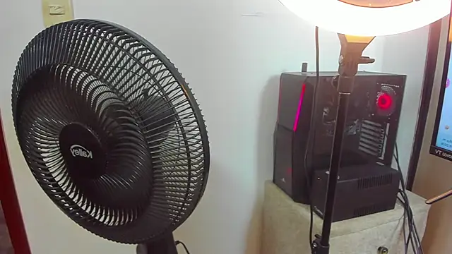 SilvanaValdez webcam