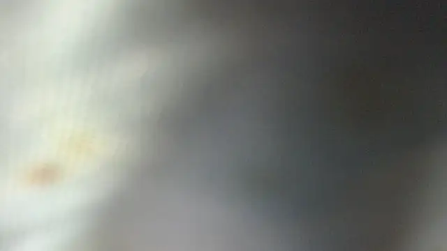 ROOKERT webcam