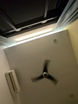 Cunzhangshibage02 webcam