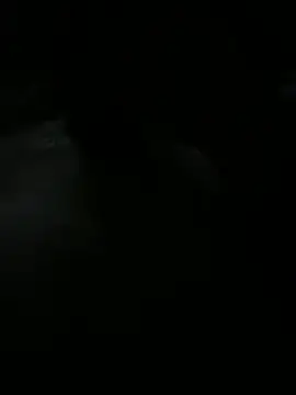 Hornygentlemanxxx webcam