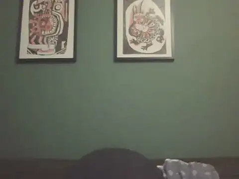 SHARPSkinhead webcam