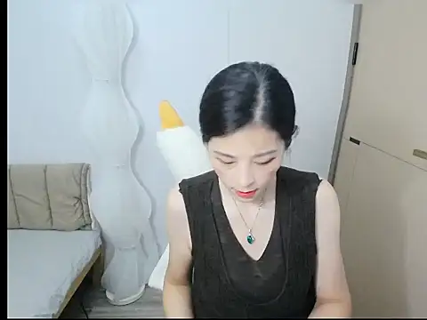 BS9933 webcam