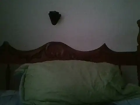 bbccol1 webcam