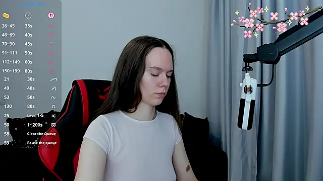 Vulgar_Tamer webcam