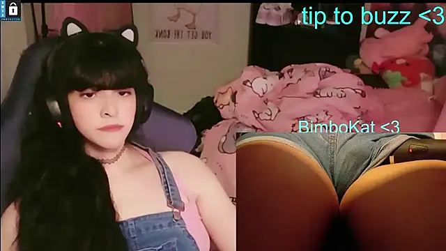 BimboCat webcam