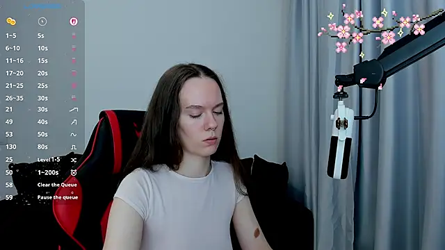 Vulgar_Tamer webcam