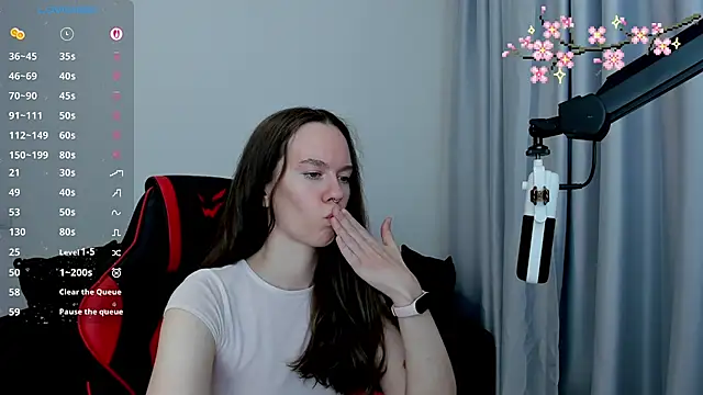 Vulgar_Tamer