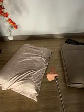 VictoriaHiill webcam