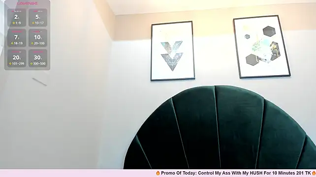 _EmilyJireh_ webcam