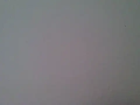 milk_sugar19 webcam