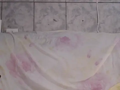 Venusluxodomme webcam