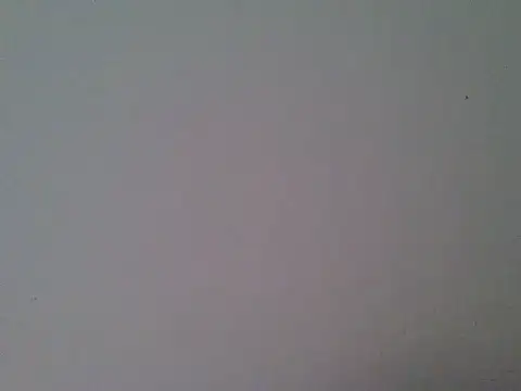 milk_sugar19 webcam