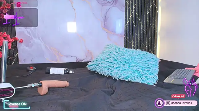 Hanna_Evaanss webcam