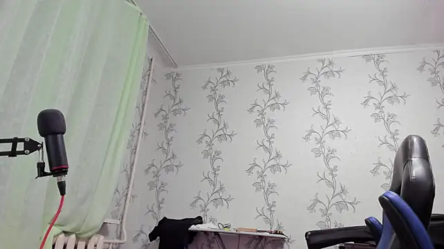 SanFrantsisko webcam