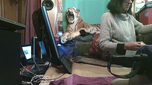SissiDomination webcam