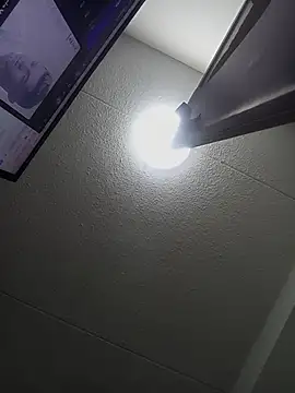 ROSIEPIXEL webcam
