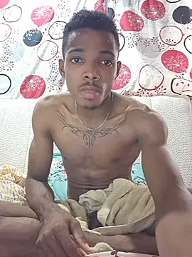 Princip-0005 webcam