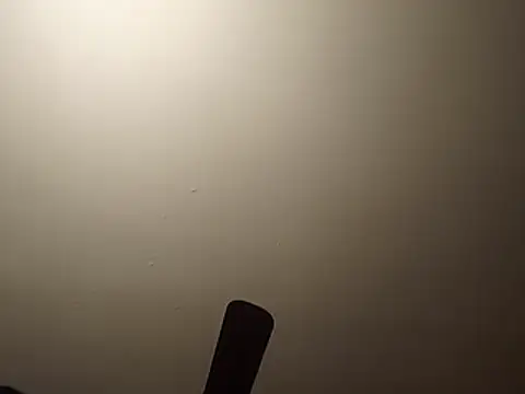 Blkstylion