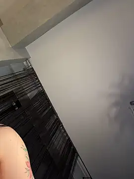 Andrestarr webcam