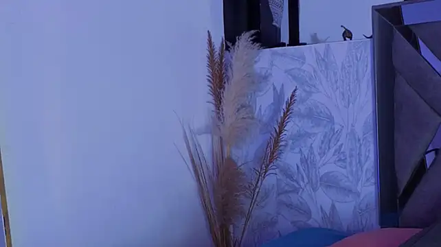 july_quinzel webcam