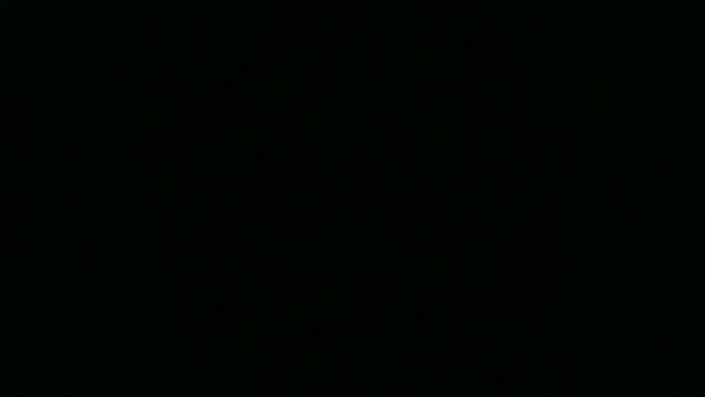 SamuelTal webcam