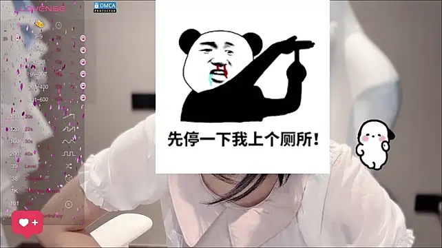 mochi-mochi webcam