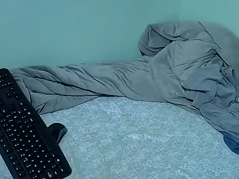 lainearia webcam