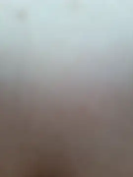 pineapplelife webcam