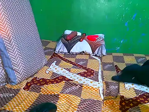 ToiletPlayBarbieDoll webcam