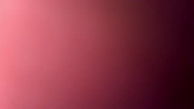 studlyhardwoodd webcam