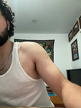 VincentEngeI webcam