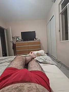 MysterBearMG webcam
