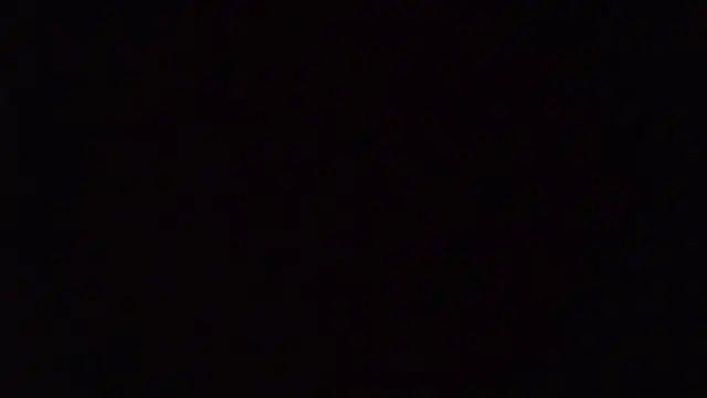 ShyBerryNelly webcam
