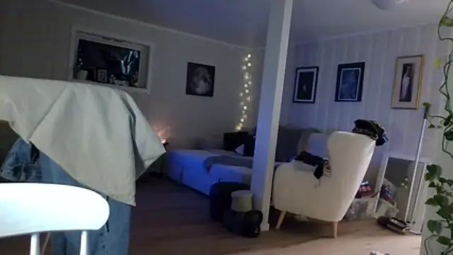 MyManCave webcam