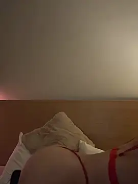 PRIISS69 webcam
