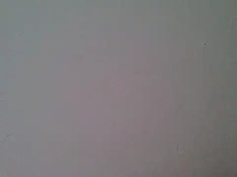 milk_sugar19 webcam