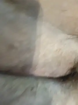 Frejaxx webcam