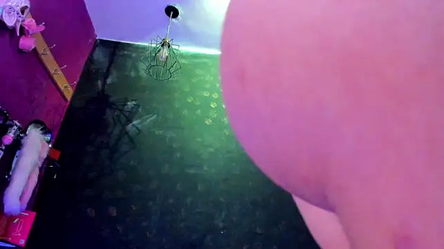 Alexa_Slave webcam