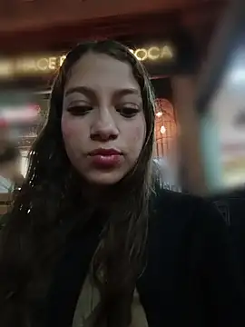Vanneskk webcam