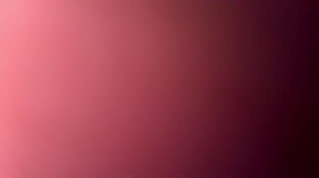 studlyhardwoodd webcam