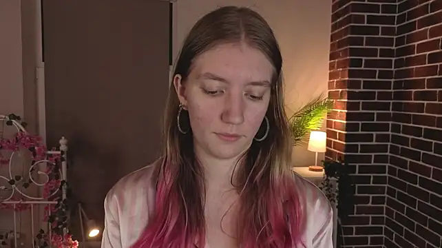 SookToulson webcam