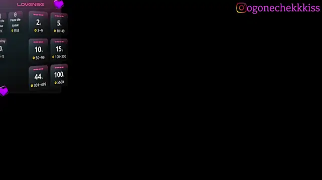 OgonEcheK webcam