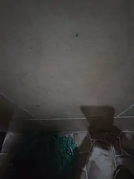 Jjota2026 webcam