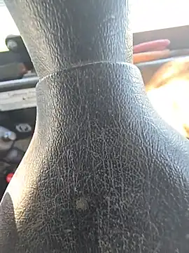 Stone0071 webcam