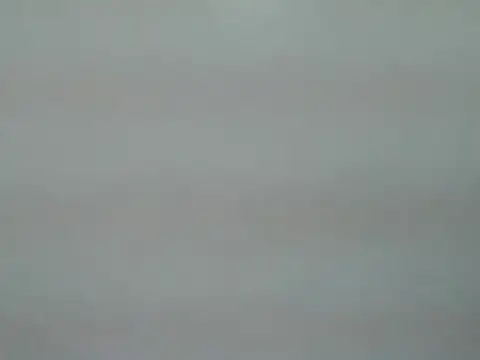 Theo_254