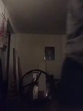 EdelHolz91 webcam
