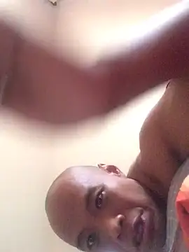FleckedAlbum