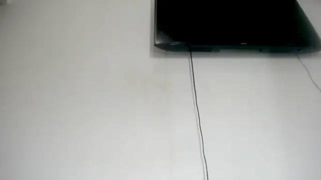 Fox_Loves