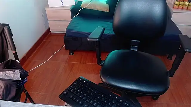 Karito_model webcam